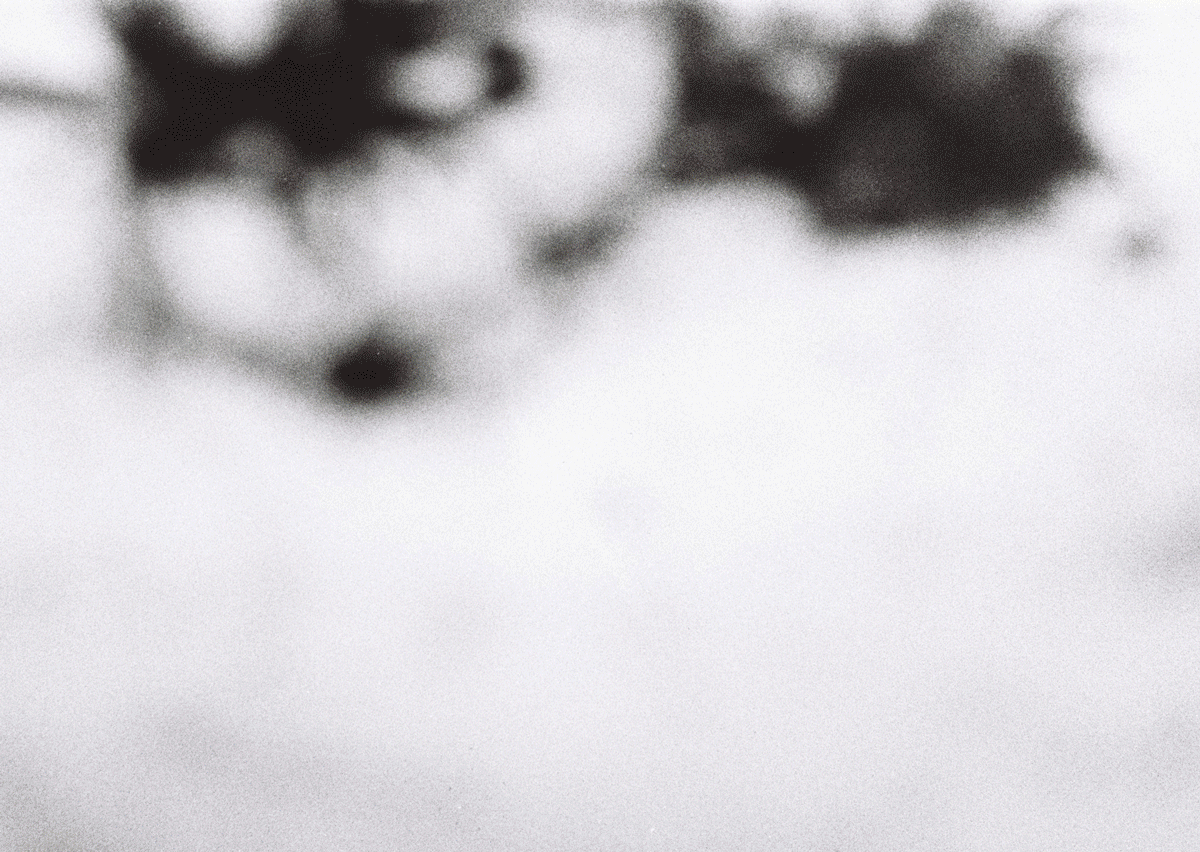 Poster for Light Leaks project